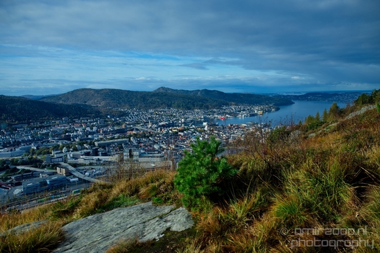 Bergen_the_capital_of_Fjord_Norway_City_urban_street_Cityscape_Photography_052_Canon_EOS_5D_Mark_IV.JPG
