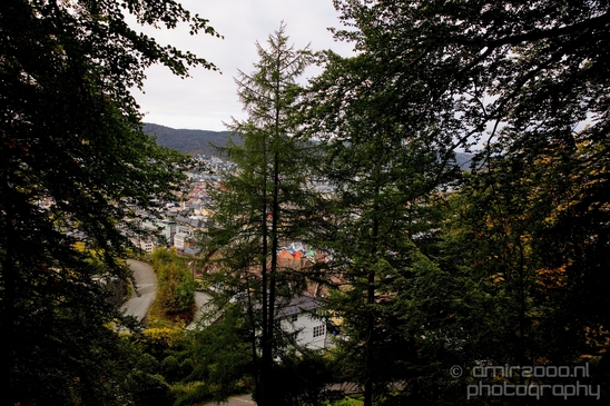 Bergen_the_capital_of_Fjord_Norway_City_urban_street_Cityscape_Photography_056_Canon_EOS_5D_Mark_IV.JPG
