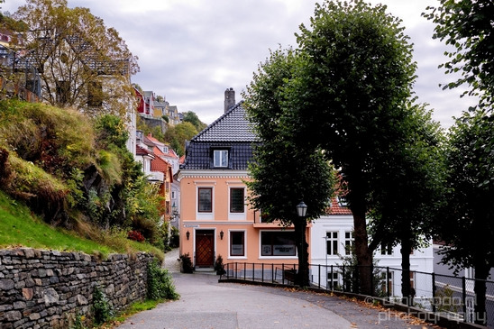 Bergen_the_capital_of_Fjord_Norway_City_urban_street_Cityscape_Photography_072_Canon_EOS_5D_Mark_IV.JPG
