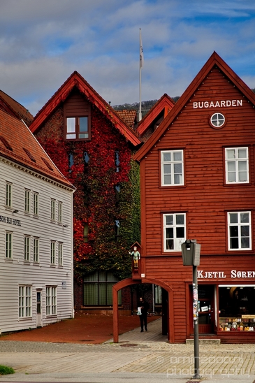 Bergen_the_capital_of_Fjord_Norway_City_urban_street_Cityscape_Photography_081_Canon_EOS_5D_Mark_IV.JPG