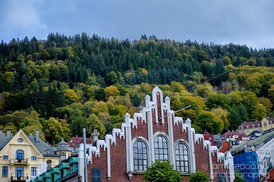 Bergen_the_capital_of_Fjord_Norway_City_urban_street_Cityscape_Photography_085_Canon_EOS_5D_Mark_IV.JPG