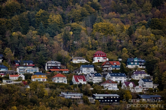 Bergen_the_capital_of_Fjord_Norway_City_urban_street_Cityscape_Photography_093_Canon_EOS_5D_Mark_IV.JPG