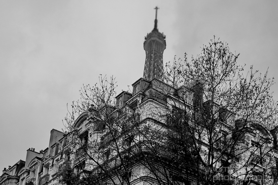 City_urban_street_Paris_France_Cityscape_Photography_145_Canon_EOS_5D_Mark_IV.JPG