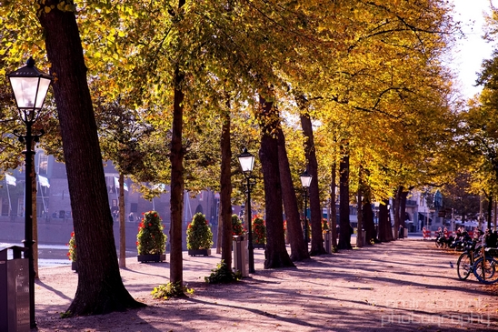 Cityscape_urban_street_The_Hague_Den_Haag_Netherlands_Photography_023_Canon_EOS_5D_Mark_IV.JPG