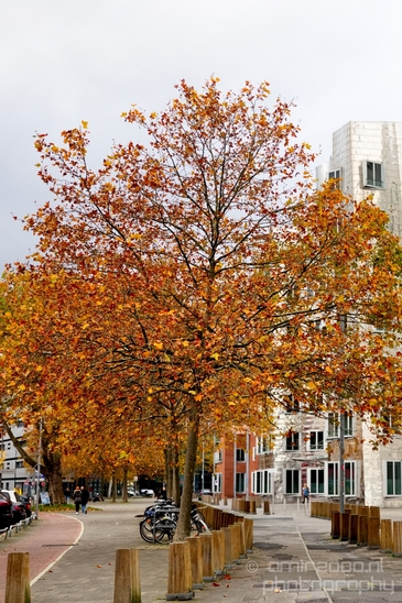 Cityscape_urban_street_city_Dusseldorf_Germany_Photography_038_Canon_EOS_5D_Mark_IV.JPG