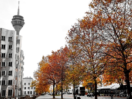 Cityscape_urban_street_city_Dusseldorf_Germany_Photography_039_Canon_EOS_5D_Mark_IV.JPG