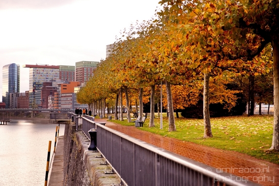 Cityscape_urban_street_city_Dusseldorf_Germany_Photography_065_Canon_EOS_5D_Mark_IV.JPG