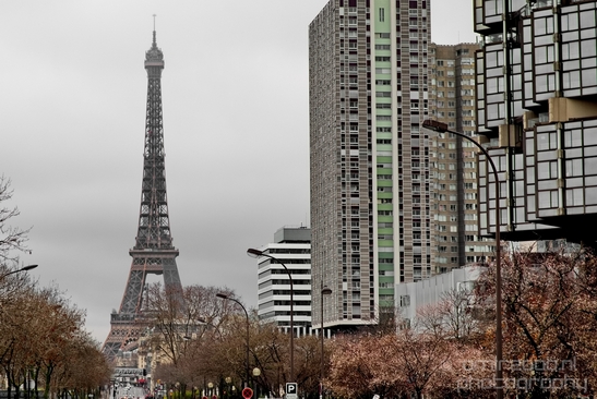 Eiffel_Tower_City_urban_street_Paris_France_Cityscape_Photography_014_Canon_EOS_5D_Mark_IV.JPG