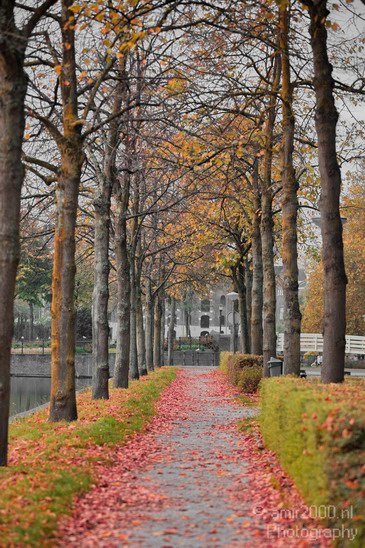 Fall_autumn_Amsterdam_centrum_oostelijke_eilanden_city_Netherlands_Cityscape_Photography_003_Canon_EOS_5D_Mark_IV.JPG