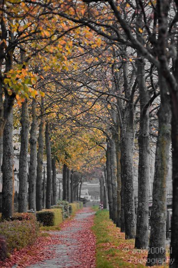 Fall_autumn_Amsterdam_centrum_oostelijke_eilanden_city_Netherlands_Cityscape_Photography_004_Canon_EOS_5D_Mark_IV.JPG