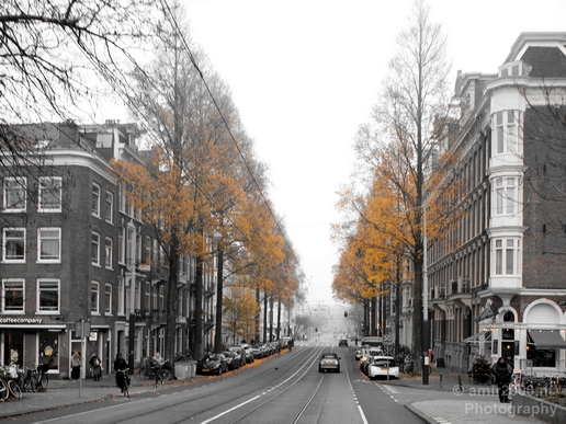 Foggy_day_Amsterdam_urban_street_city_Dutch_beauty_Netherlands_Cityscape_Photography_010_Canon_EOS_5D_Mark_IV.JPG