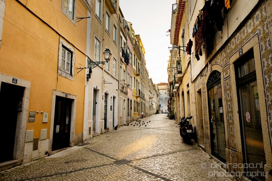 Lisbon_Lisboa_Portugal_City_urban_street_Cityscape_Photography_019_Canon_EOS_5D_Mark_IV.JPG
