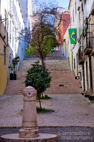 Lisbon_Lisboa_Portugal_City_urban_street_Cityscape_Photography_119_Canon_EOS_5D_Mark_IV.JPG