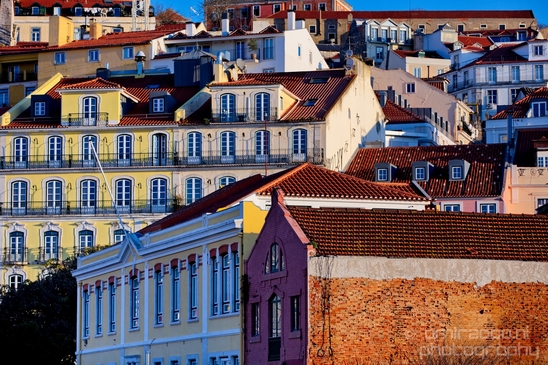 Lisbon_Lisboa_Portugal_City_urban_street_Cityscape_Photography_146_Canon_EOS_5D_Mark_IV.JPG