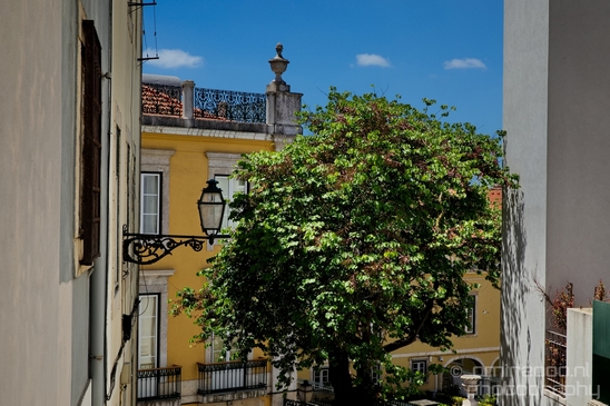 Lisbon_Lisboa_Portugal_City_urban_street_Cityscape_Photography_213_Canon_EOS_5D_Mark_IV.JPG