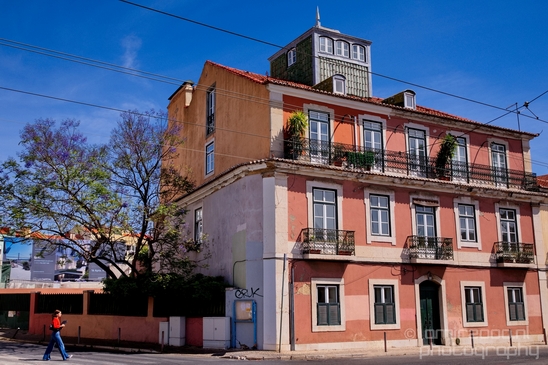 Lisbon_Lisboa_Portugal_City_urban_street_Cityscape_Photography_226_Canon_EOS_5D_Mark_IV.JPG