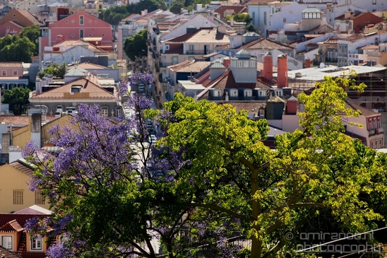 Lisbon_Lisboa_Portugal_City_urban_street_Cityscape_Photography_270_Canon_EOS_5D_Mark_IV.JPG