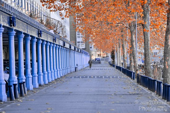 Morning_walk_Fall_autumn_Amsterdam_centrum_city_Netherlands_Cityscape_Photography_001_Canon_EOS_5D_Mark_IV.JPG