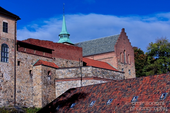 Oslo_the_capital_of_Norway_City_urban_street_Cityscape_Photography_030_Canon_EOS_5D_Mark_IV.JPG