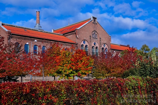 Oslo_the_capital_of_Norway_City_urban_street_Cityscape_Photography_037_Canon_EOS_5D_Mark_IV.JPG