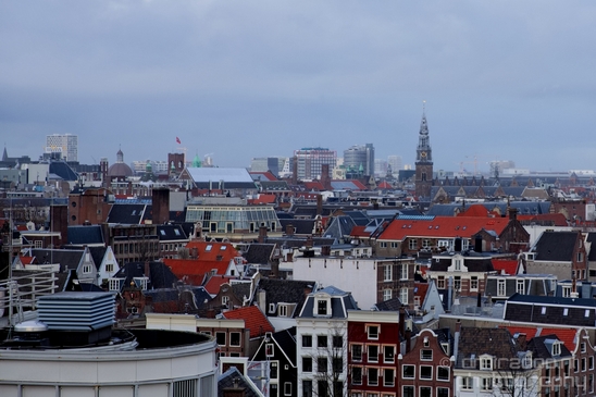 Roof_tops_view_Amsterdam_city_street_urban_Netherlands_Cityscape_Photography_003_Canon_EOS_5D_Mark_IV.JPG