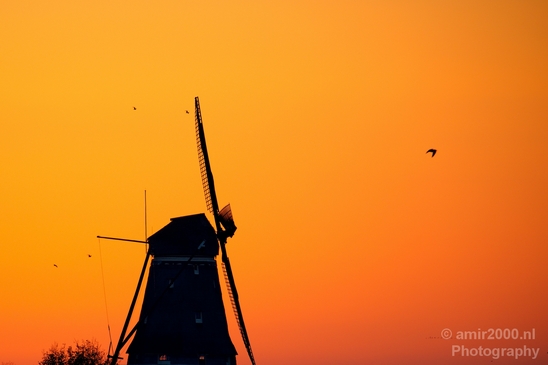 Sunrise_over_Amsterdam_city_dutch_beauty_Netherlands_Cityscape_Photography_027_Canon_EOS_5D_Mark_IV.JPG
