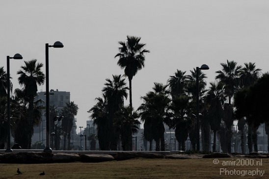 Tel_Aviv_Jaffa_Aviv-Jaffa_Israel_Cityscape_Photography_009_Canon_EOS_7D.JPG