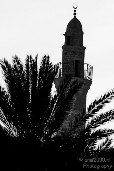 Tel_Aviv_Jaffa_Aviv-Jaffa_Israel_Cityscape_Photography_018_Canon_EOS_7D.JPG