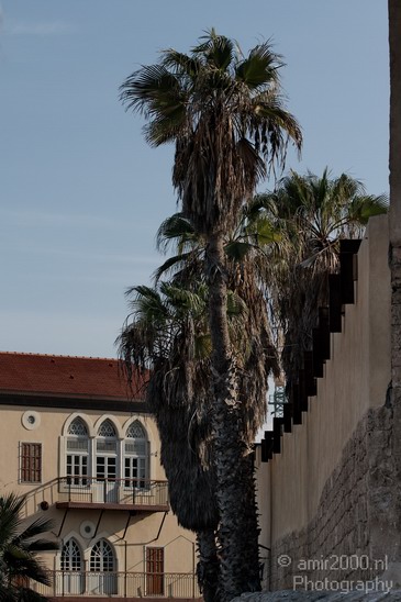Tel_Aviv_Jaffa_Aviv-Jaffa_Israel_Cityscape_Photography_019_Canon_EOS_7D.JPG