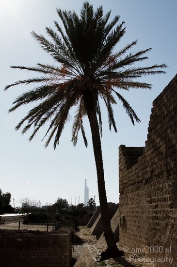 Tel_Aviv_Jaffa_Aviv-Jaffa_Israel_Cityscape_Photography_032_Canon_EOS_7D.JPG