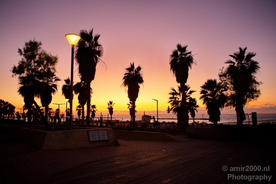 Tel_Jaffa_Israel_Cityscape_city_Photography_032_Canon_EOS_5D_Mark_IV.JPG