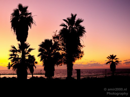 Tel_Jaffa_Israel_Cityscape_city_Photography_034_Canon_EOS_5D_Mark_IV.JPG