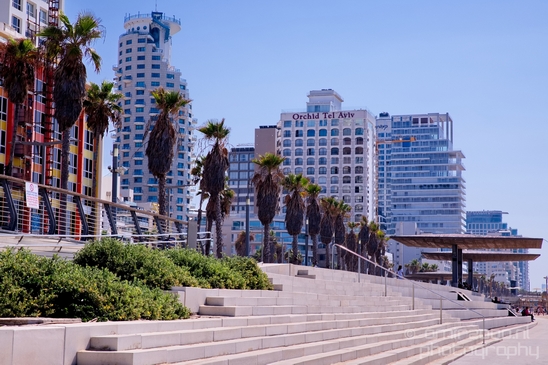 Tel_Jaffa_Israel_Cityscape_city_urban_street_Photography_082_Canon_EOS_5D_Mark_IV.JPG