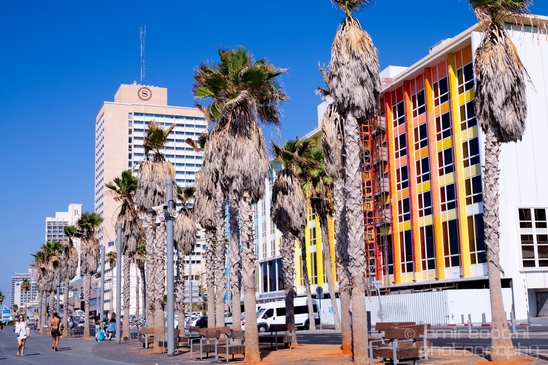 Tel_Jaffa_Israel_Cityscape_city_urban_street_Photography_125_Canon_EOS_5D_Mark_IV.JPG