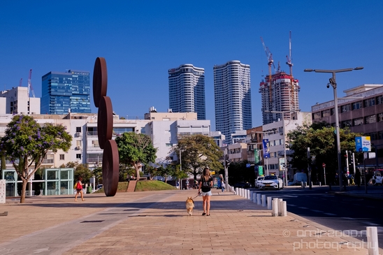 Tel_Jaffa_Israel_Cityscape_city_urban_street_Photography_137_Canon_EOS_5D_Mark_IV.JPG