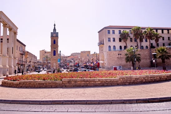 Tel_Jaffa_Israel_Cityscape_city_urban_street_Photography_211_Canon_EOS_5D_Mark_IV.JPG