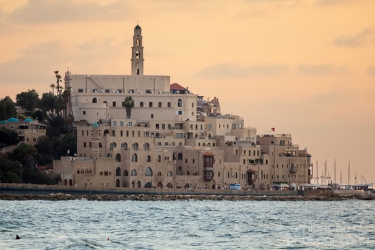 Tel_Jaffa_Israel_Cityscape_city_urban_street_Photography_345_Canon_EOS_5D_Mark_IV.JPG