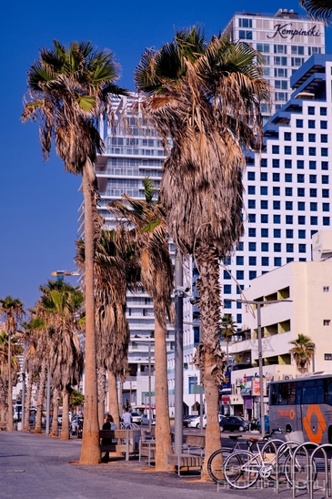 Tel_Jaffa_Israel_Cityscape_city_urban_street_Photography_382_Canon_EOS_5D_Mark_IV.JPG