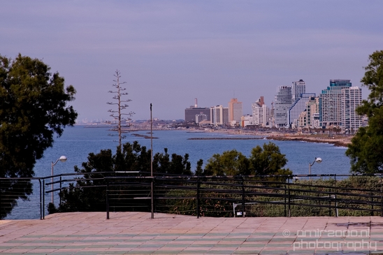 Tel_Jaffa_Israel_Cityscape_city_urban_street_Photography_452_Canon_EOS_5D_Mark_IV.JPG