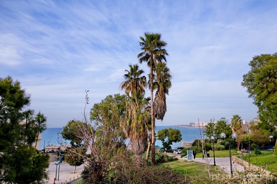 Tel_Jaffa_Israel_Cityscape_city_urban_street_Photography_456_Canon_EOS_5D_Mark_IV.JPG