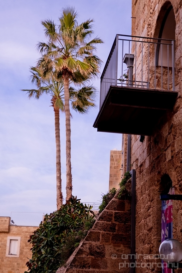 Tel_Jaffa_Israel_Cityscape_city_urban_street_Photography_460_Canon_EOS_5D_Mark_IV.JPG