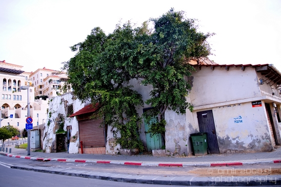 Tel_Jaffa_Israel_Cityscape_city_urban_street_Photography_467_Canon_EOS_5D_Mark_IV.JPG