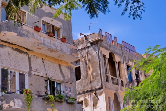 Tel_Jaffa_Israel_Cityscape_city_urban_street_Photography_556_Canon_EOS_5D_Mark_IV.JPG