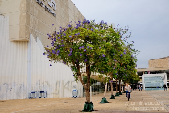 Tel_Jaffa_Israel_Cityscape_city_urban_street_Photography_583_Canon_EOS_5D_Mark_IV.JPG