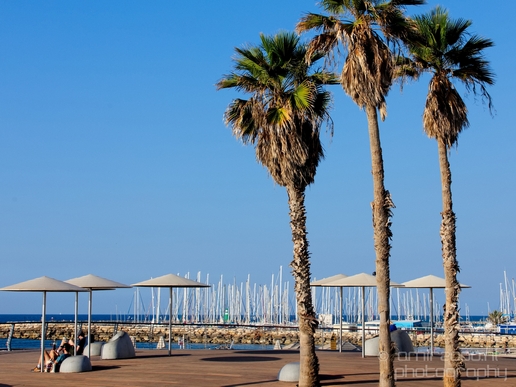 Tel_Jaffa_Israel_Cityscape_city_urban_street_Photography_684_Canon_EOS_5D_Mark_IV.JPG