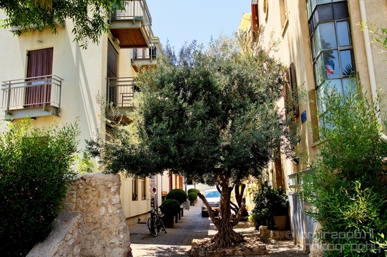 Tel_Jaffa_Israel_Cityscape_city_urban_street_Photography_729_Canon_EOS_5D_Mark_IV.JPG