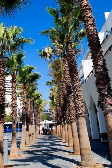Tel_Jaffa_Israel_Cityscape_city_urban_street_Photography_737_Canon_EOS_5D_Mark_IV.JPG