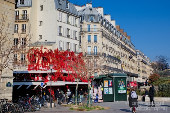 The_streets_of_Paris_lle-de-France_France_City_urban_street_Cityscape_Photography_074_Canon_EOS_5D_Mark_IV.JPG