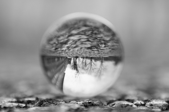 Glass_ball_project_Creative_Series_Glassball_Photography_001_Canon_EOS_7D.JPG