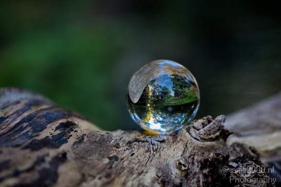 Glass_ball_project_Series_Glassball_Photography_096_Canon_EOS_5D_Mark_IV.JPG